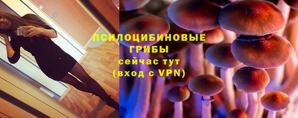 дурь Богданович