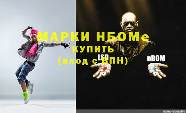 spice Богородицк