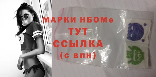 spice Богородицк
