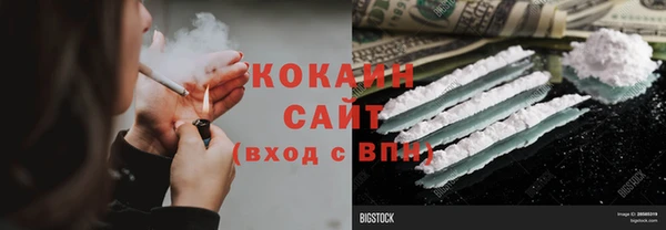 дживик Белокуриха