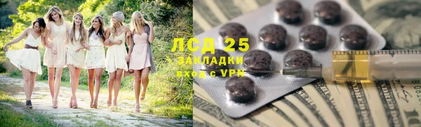 spice Богородицк