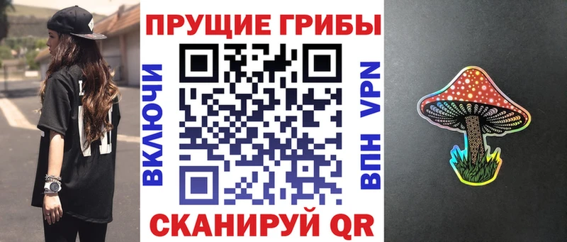 Псилоцибиновые грибы мухоморы  закладки  Можга 